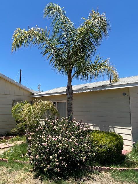 5342 Knox Road Alpaugh, CA 93201 - Photo 22 of 22 Yard 1