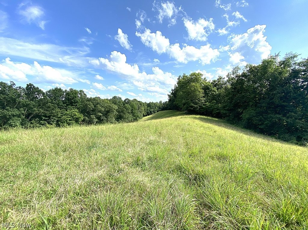 Little Left Hand Road Amma, WV 25005 - Photo 5 of 18 Gallery Image 5