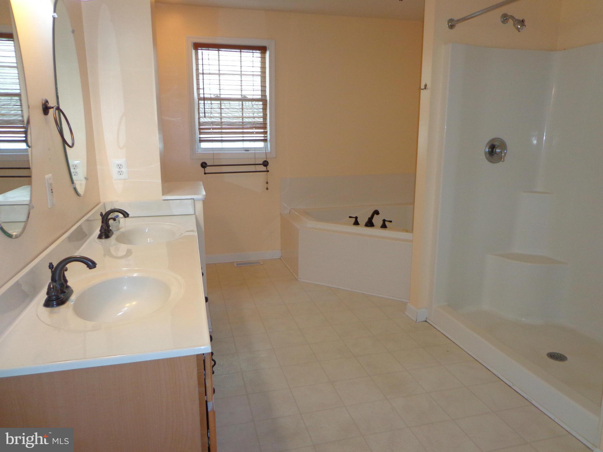 915 Oakdene Road Baltimore, MD 21220 - Photo 18 of 30 a bathroom with a sink and a tub