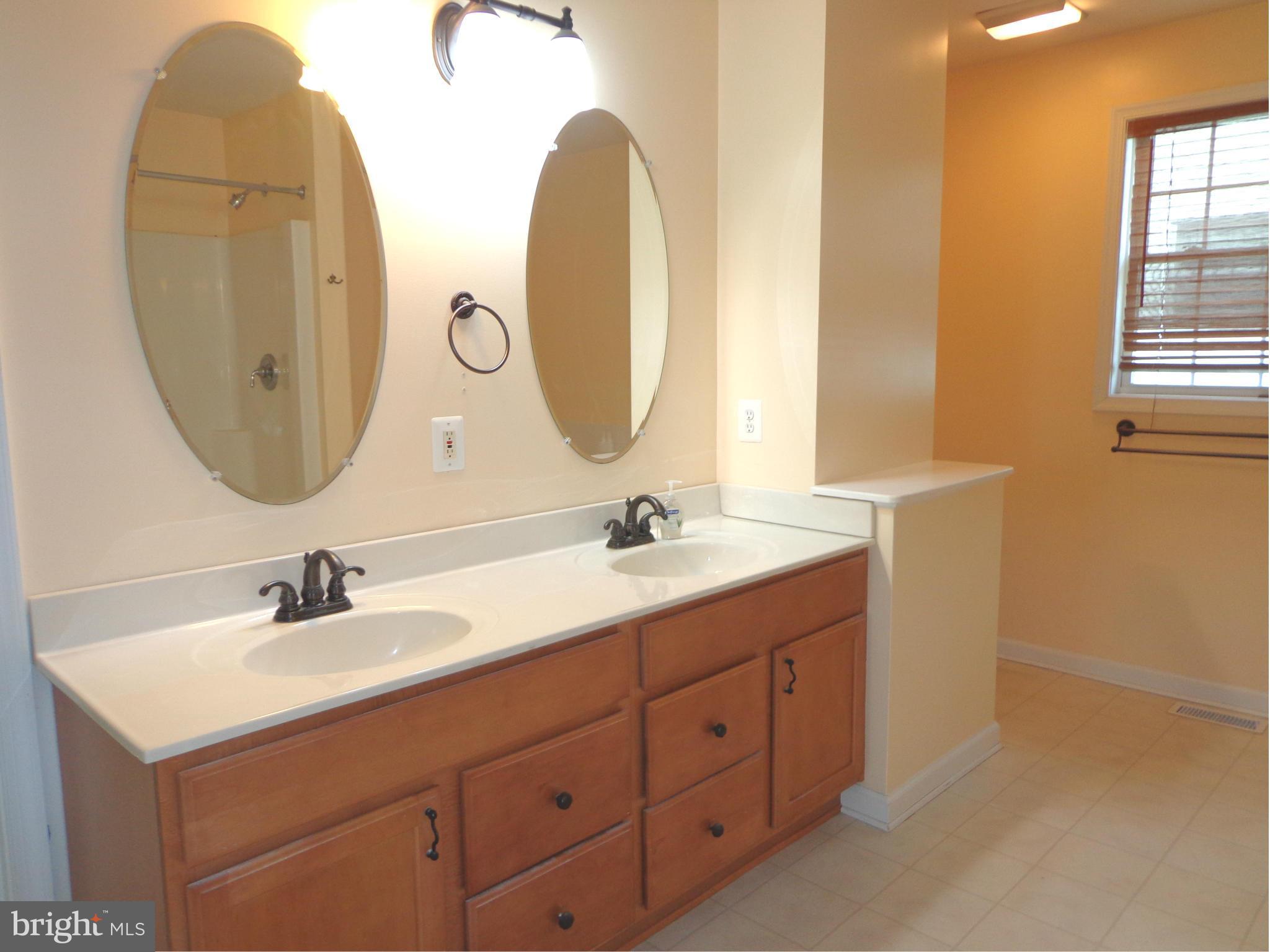 915 Oakdene Road Baltimore, MD 21220 - Photo 19 of 30 a bathroom with a double vanity sink and a mirror