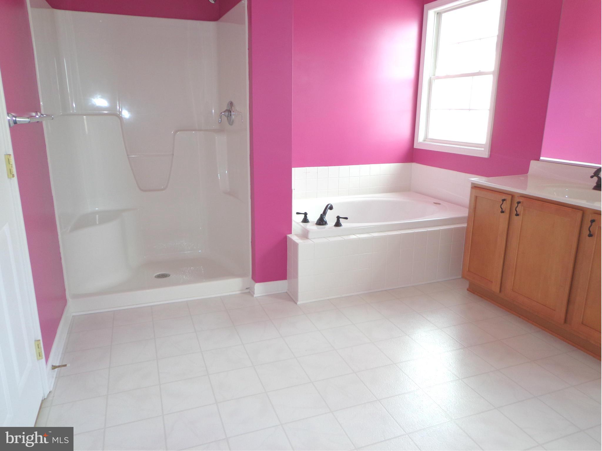 915 Oakdene Road Baltimore, MD 21220 - Photo 25 of 30 a bathroom with a bathtub sink and shower
