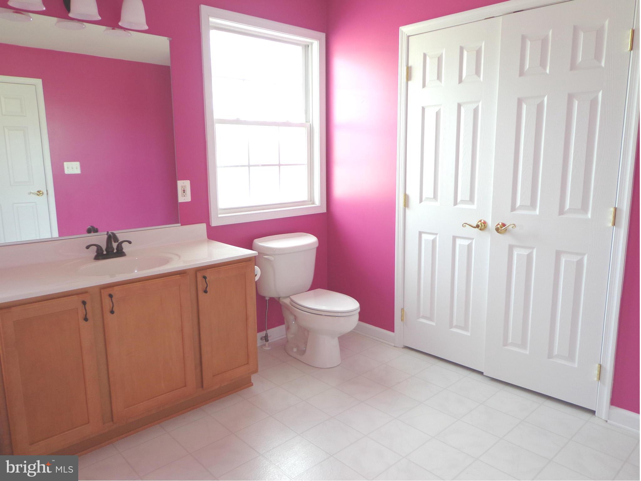 915 Oakdene Road Baltimore, MD 21220 - Photo 26 of 30 a bathroom with a sink a toilet a mirror and vanity