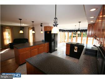 3113 Edison Furlong Road Furlong, PA 18925 - Photo 3 of 12 Kitchen