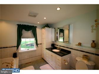 3113 Edison Furlong Road Furlong, PA 18925 - Photo 10 of 12 Bathroom