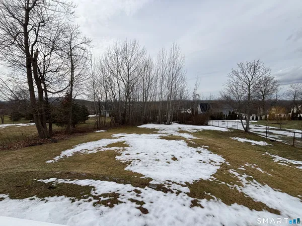a view of a yard with snow on the road