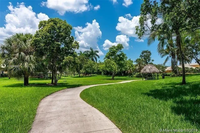 a view of a park with large trees