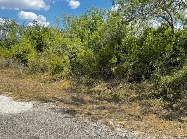 $25,000 | 112 Clearview Drive, Sandia, TX 78383