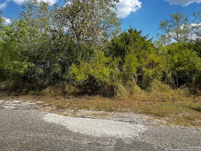 $25,000 | 112 Clearview Drive, Sandia, TX 78383