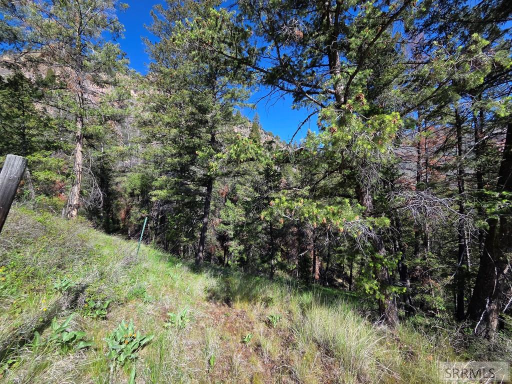 21 Pinetree Drive Salmon, ID 83467 - Photo 29 of 71