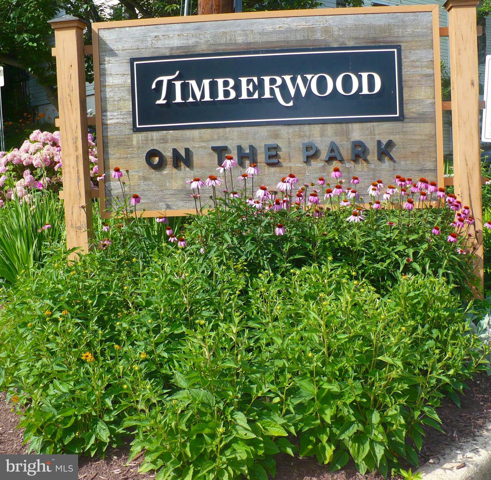 10714 Lester Street Silver Spring, MD 20902 - Photo 22 of 22 Just off Sligo Creek