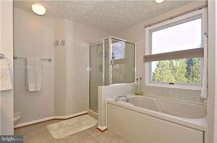 17303 Seneca Chase Park Road Poolesville, MD 20837 - Photo 18 of 30 Bath (Master)