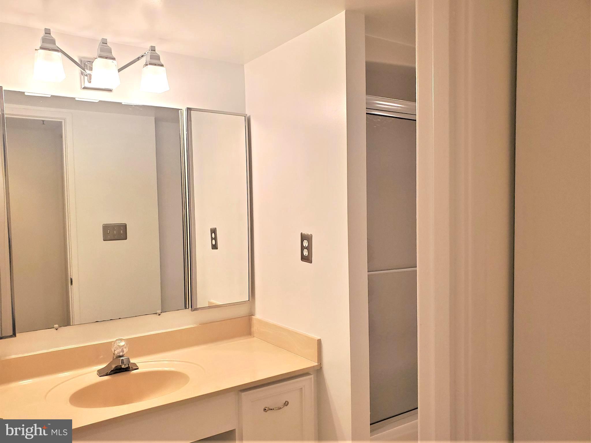 15100 Interlachen Drive, Unit 4516 Silver Spring, MD 20906 - Photo 21 of 28 Bathroom mirrored Vanity Area