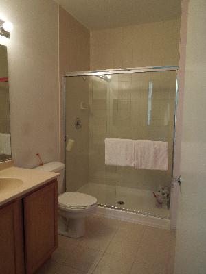 2323 West Pershing Road, Unit 226 Chicago, IL 60609 - Photo 7 of 8 a bathroom with a granite countertop sink a toilet and shower