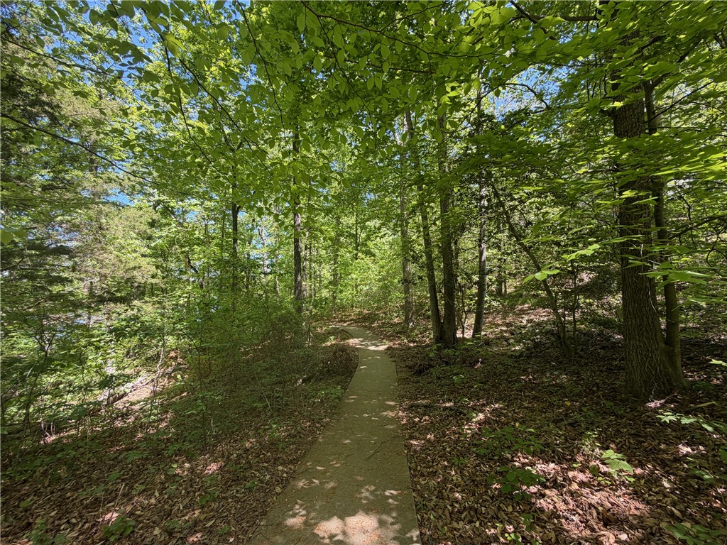 1133 Harts Ridge Drive Seneca, SC 29678 - Photo 23 of 30