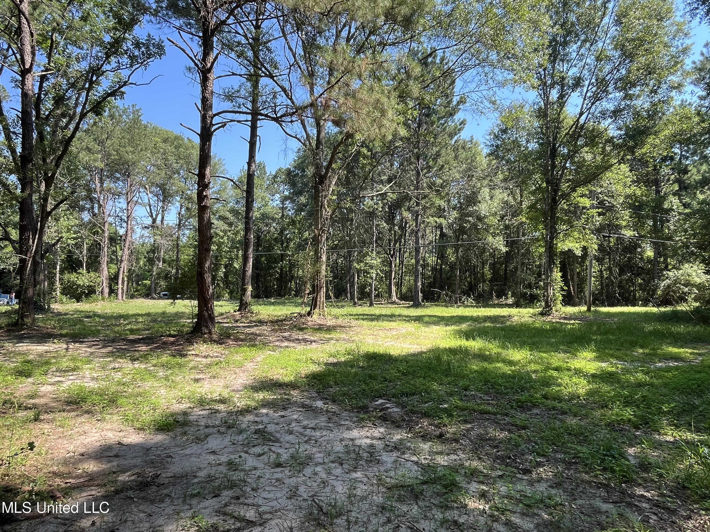 Preacher Powell Road Road Carriere, MS 39426 - Photo 1 of 11 Unrestricted Property