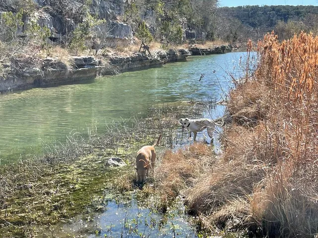 $3,200 | 275 Creek Ridge Trail West, Mountain Home, TX 78058
