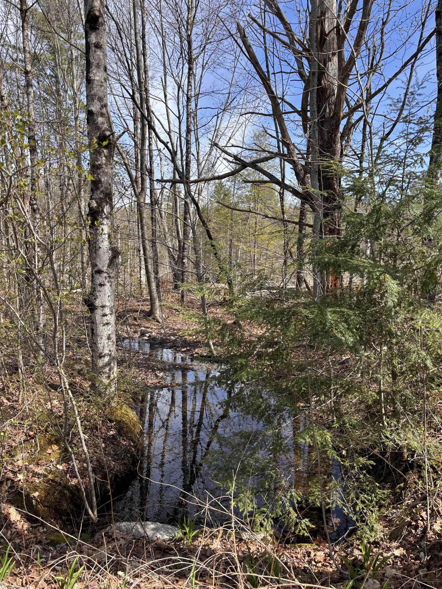 M409-l66 Old Turnpike Road Richmond, NH 03470 - Photo 2 of 13