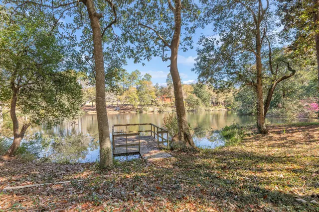 a view of outdoor space yard and tree