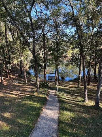 a view of a yard with flower plants