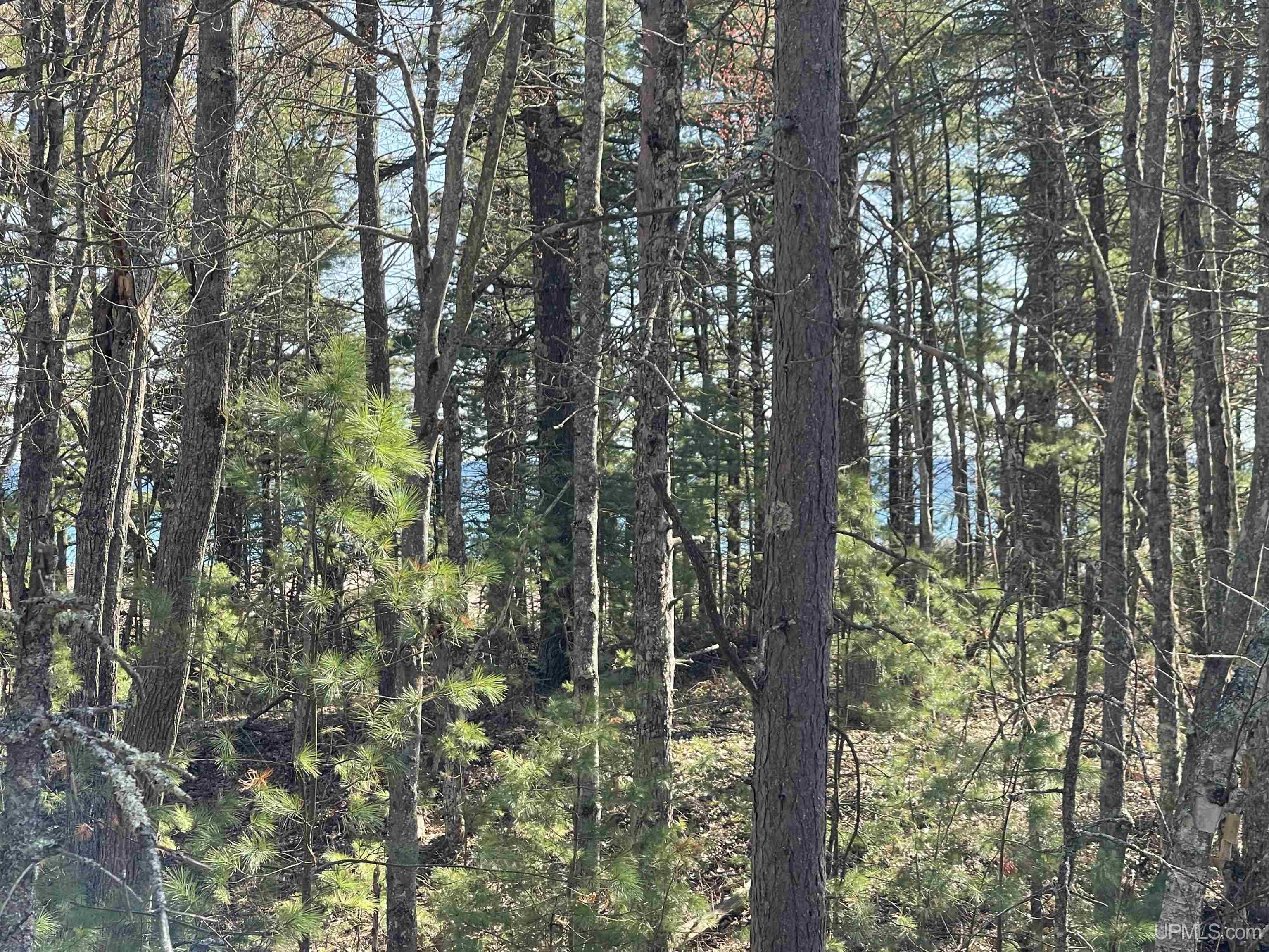 4264-ff Top O The Lake Road Gulliver, MI 49840 - Photo 36 of 80