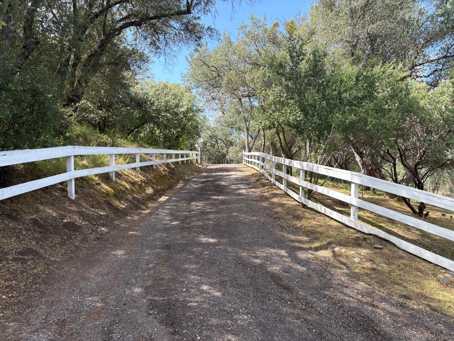 46174 Skyline Ridge Road Coarsegold, CA 93614 - Photo 2 of 23