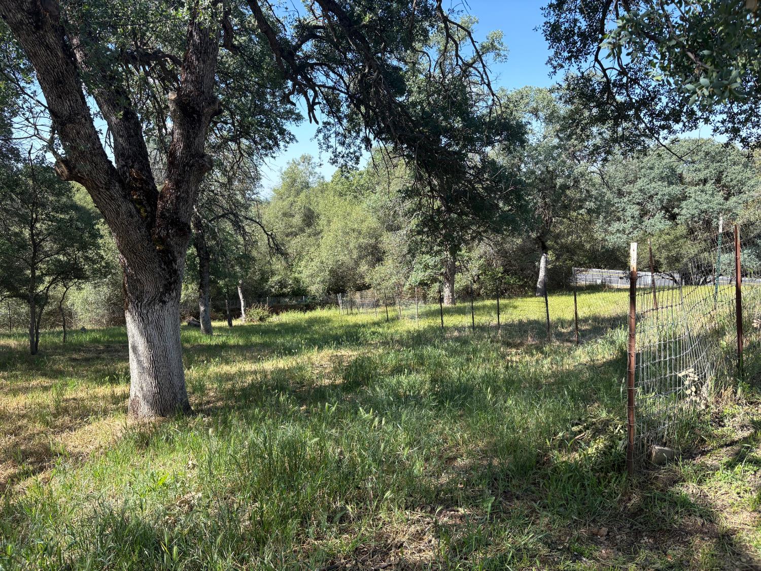 46174 Skyline Ridge Road Coarsegold, CA 93614 - Photo 7 of 23