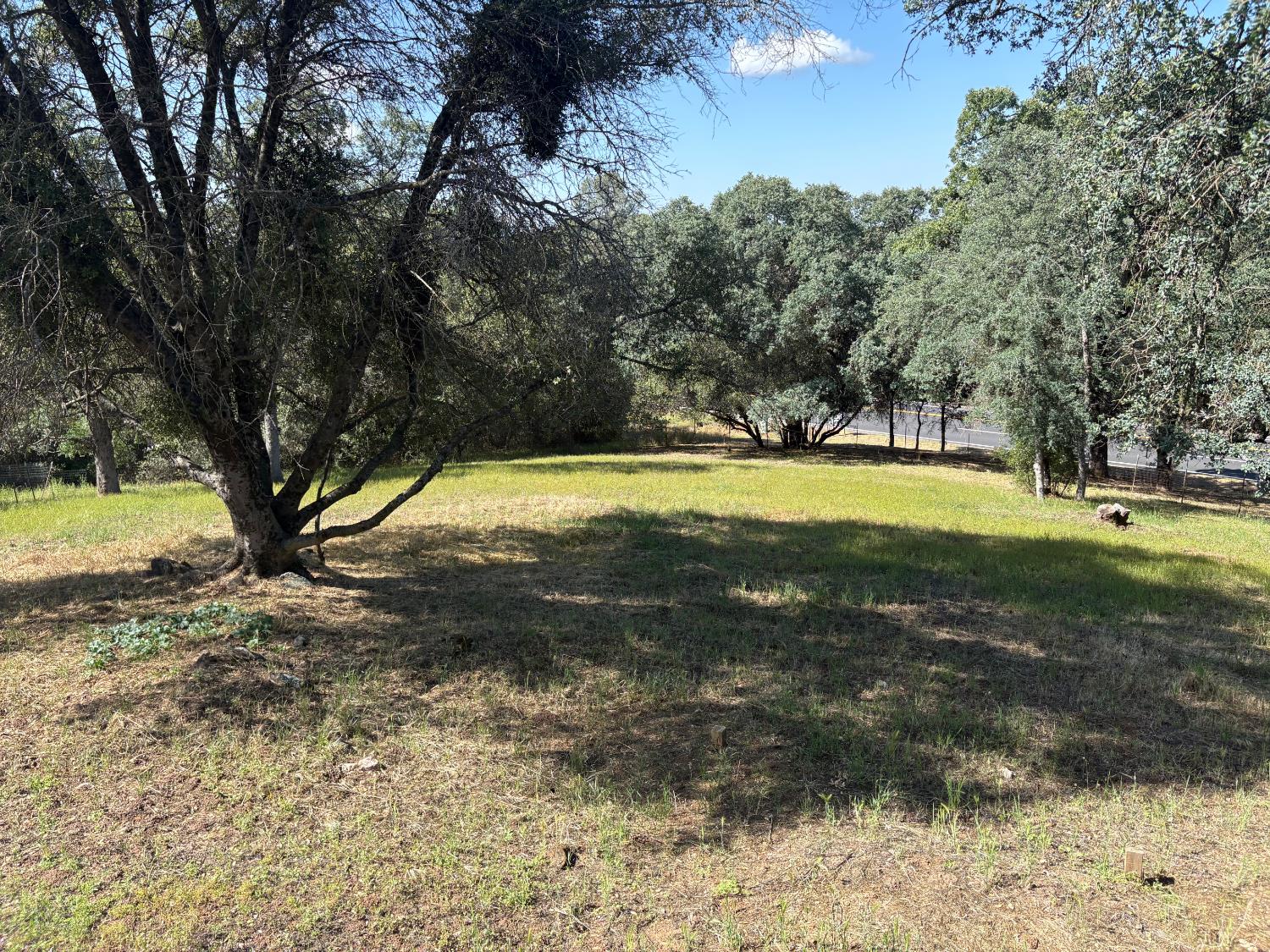 46174 Skyline Ridge Road Coarsegold, CA 93614 - Photo 9 of 23