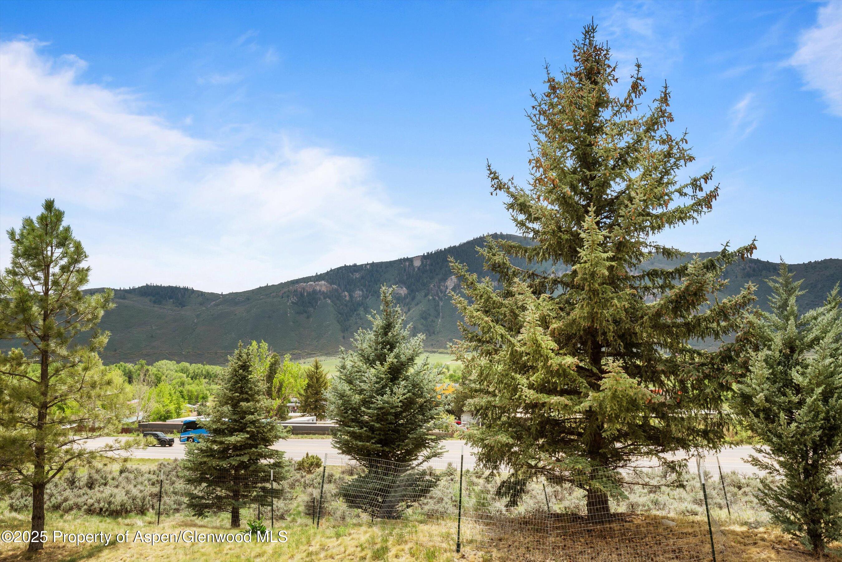 21 Pine Ridge Road Basalt, CO 81621 - Photo 23 of 25 a view of a yard with mountains in the background