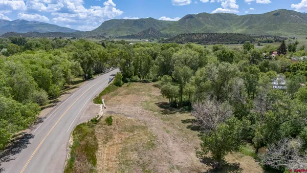 a view of a forest with a forest