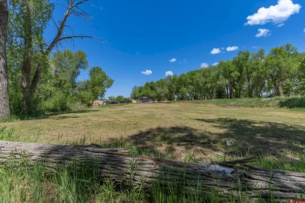 a view of a field with an trees