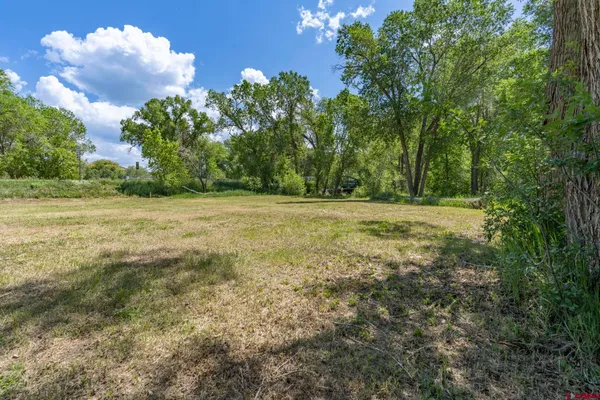 a view of a field with trees in the background