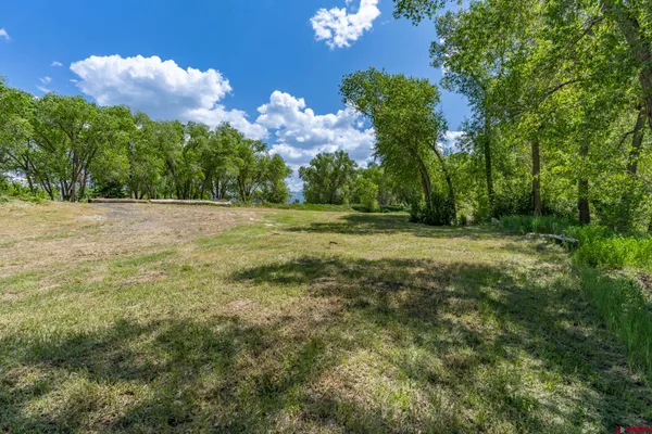 a view of a big yard with large trees