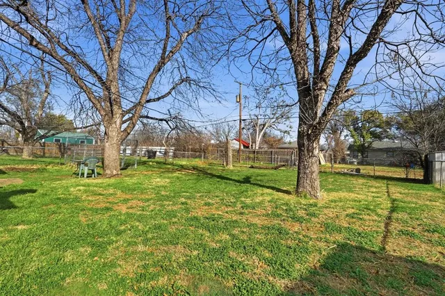 a view of a yard with a large tree