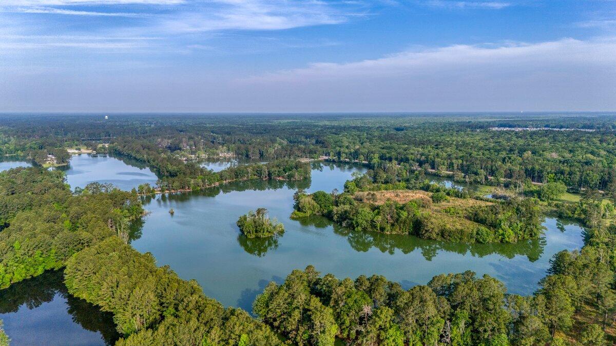 1127 Ark Shell Drive Summerville, SC 29485 - Photo 44 of 47 1127 Ark Shell Drive-6