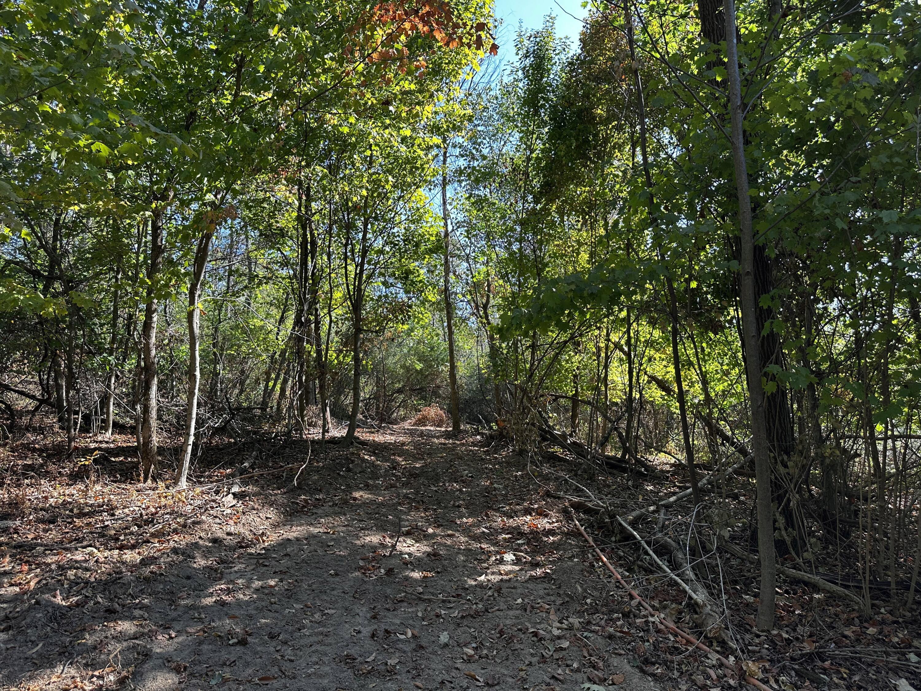 0 Dutch Ridge Road, Unit TRACT 6 AT DUTCH RIDGE) New Straitsville, OH 43766 - Photo 6 of 44 8