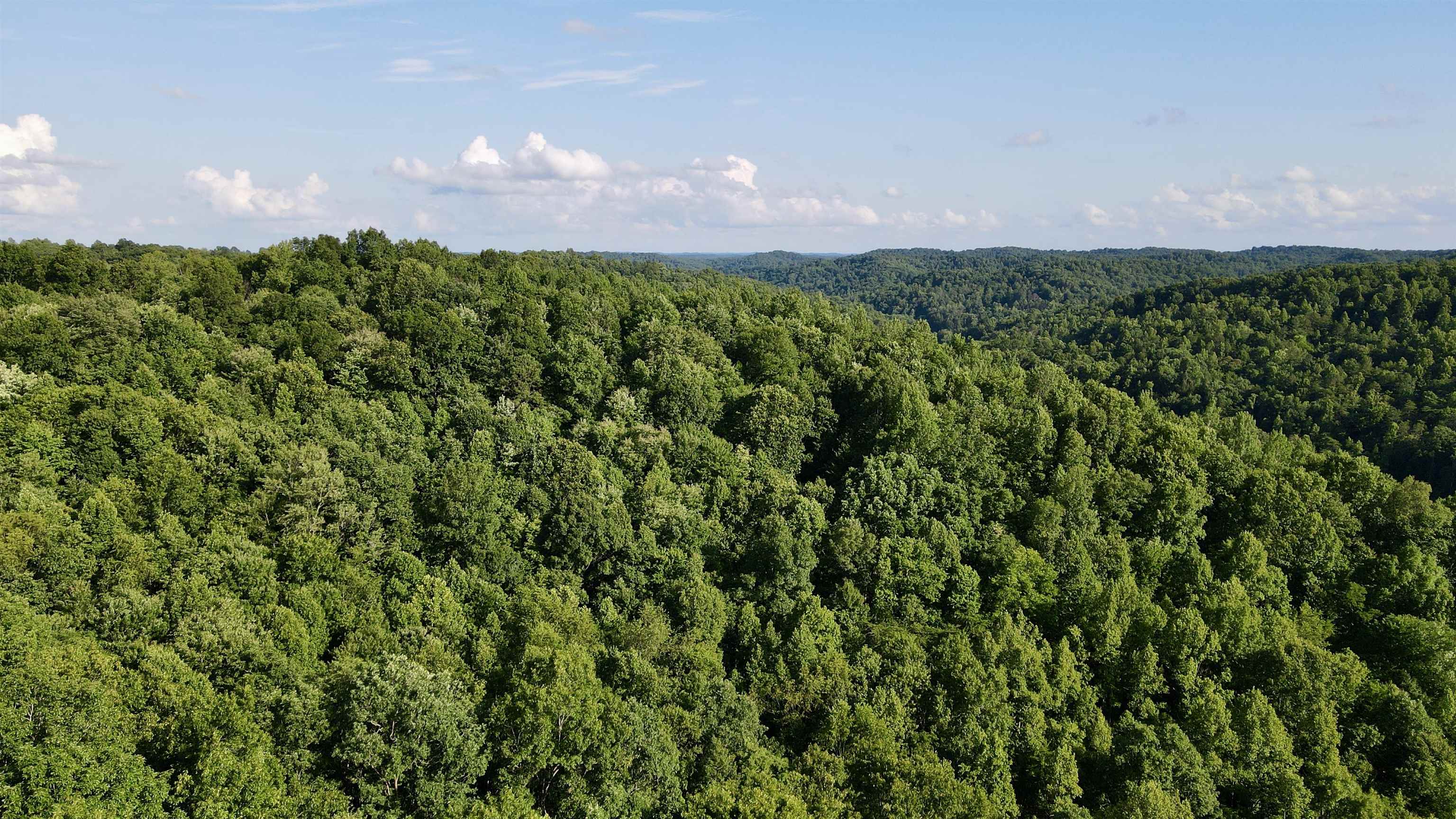 0 Laurel Road Greenup, KY 41144 - Photo 4 of 10