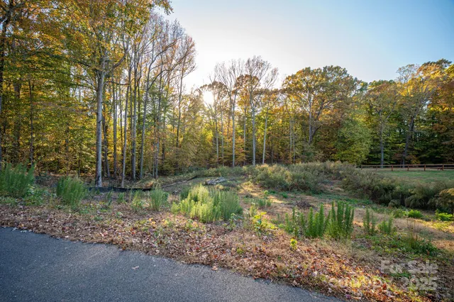 a view of a park that has large trees