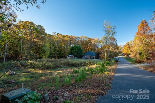 a view of a forest with trees