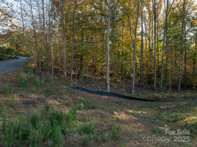 a view of a yard with a tree