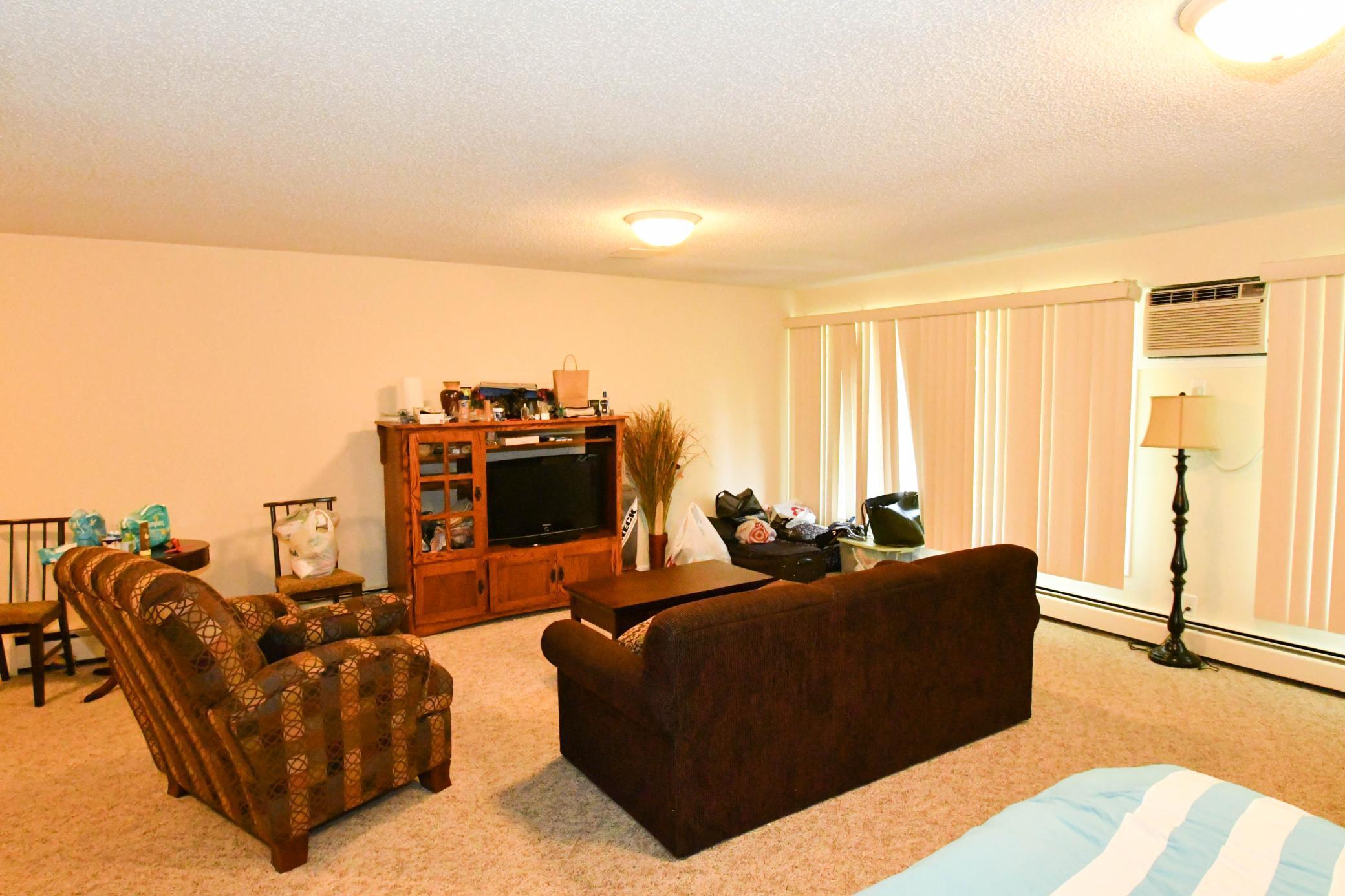 4045 Hodgson Road, Unit 217 Shoreview, MN 55126 - Photo 16 of 20 Gallery Image 16