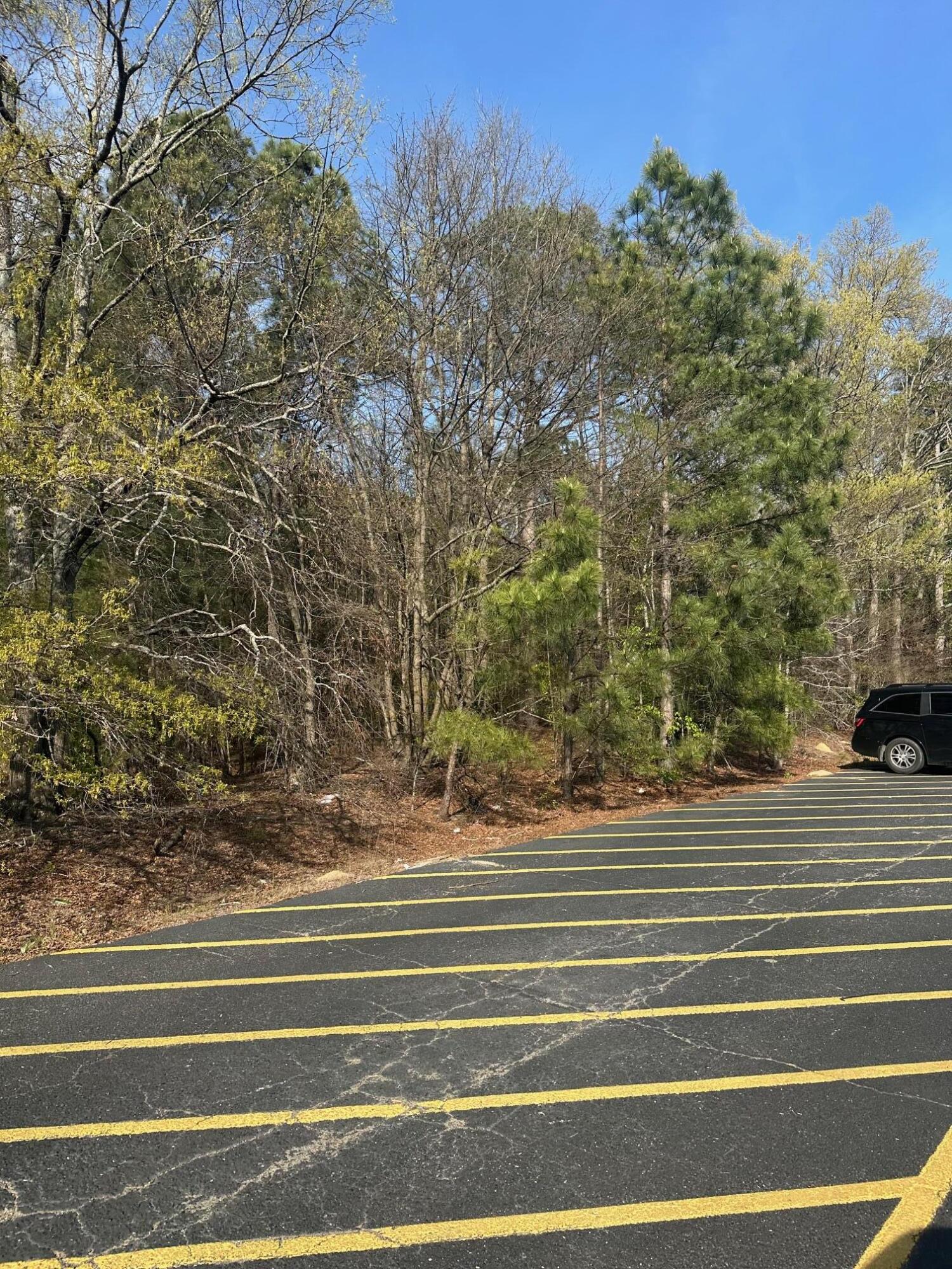 0 Washington Road Thomson, GA 30824 - Photo 4 of 6 South property line along Tractor Supply property