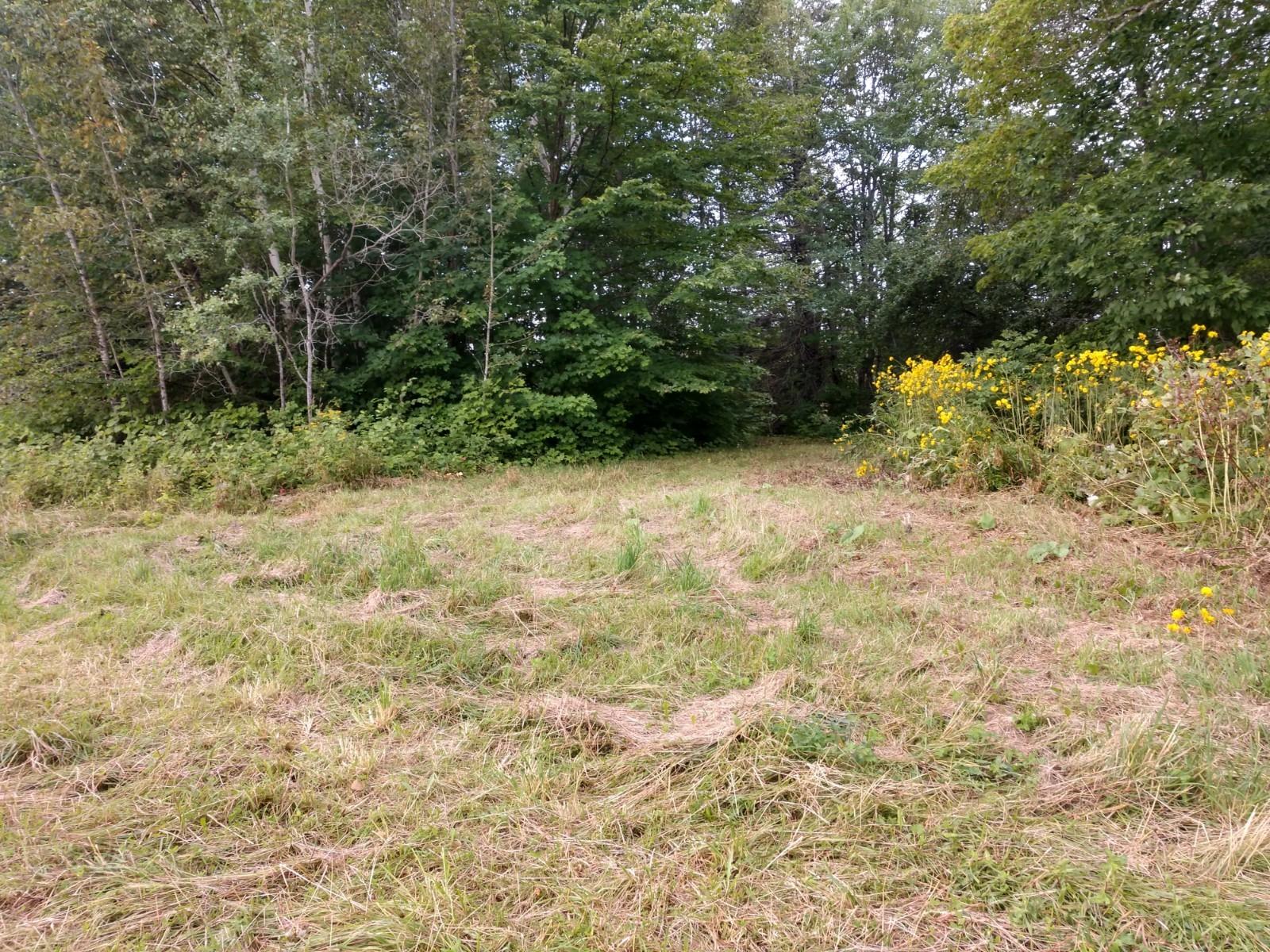 441 Estabrook Road Amity, ME 04471 - Photo 4 of 10 IMG_20190904_084917795_HDR