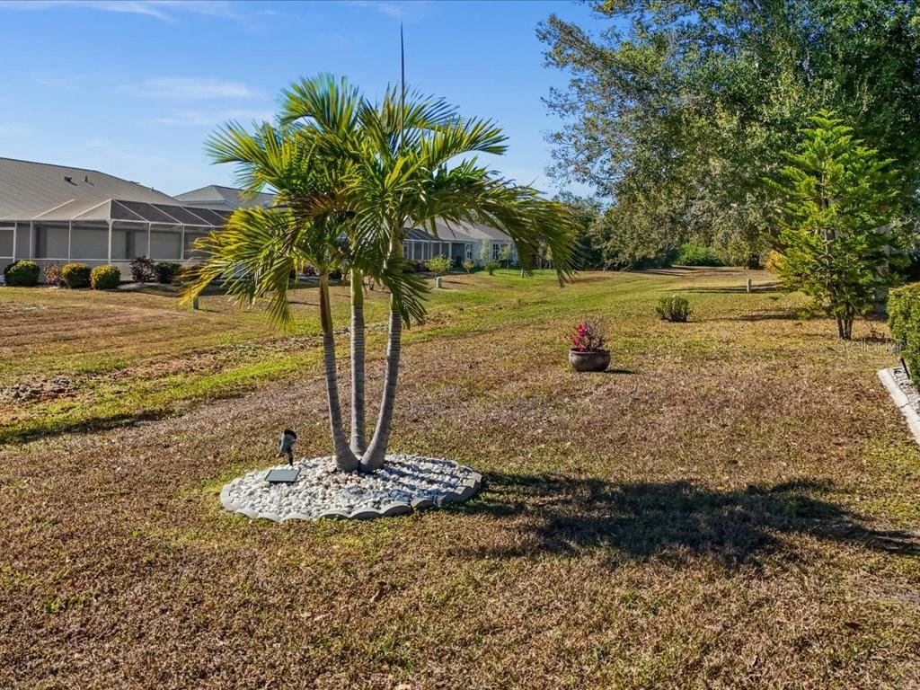 25263 Padre Lane Punta Gorda, FL 33983 - Photo 52 of 60 a view of a yard with a fountain