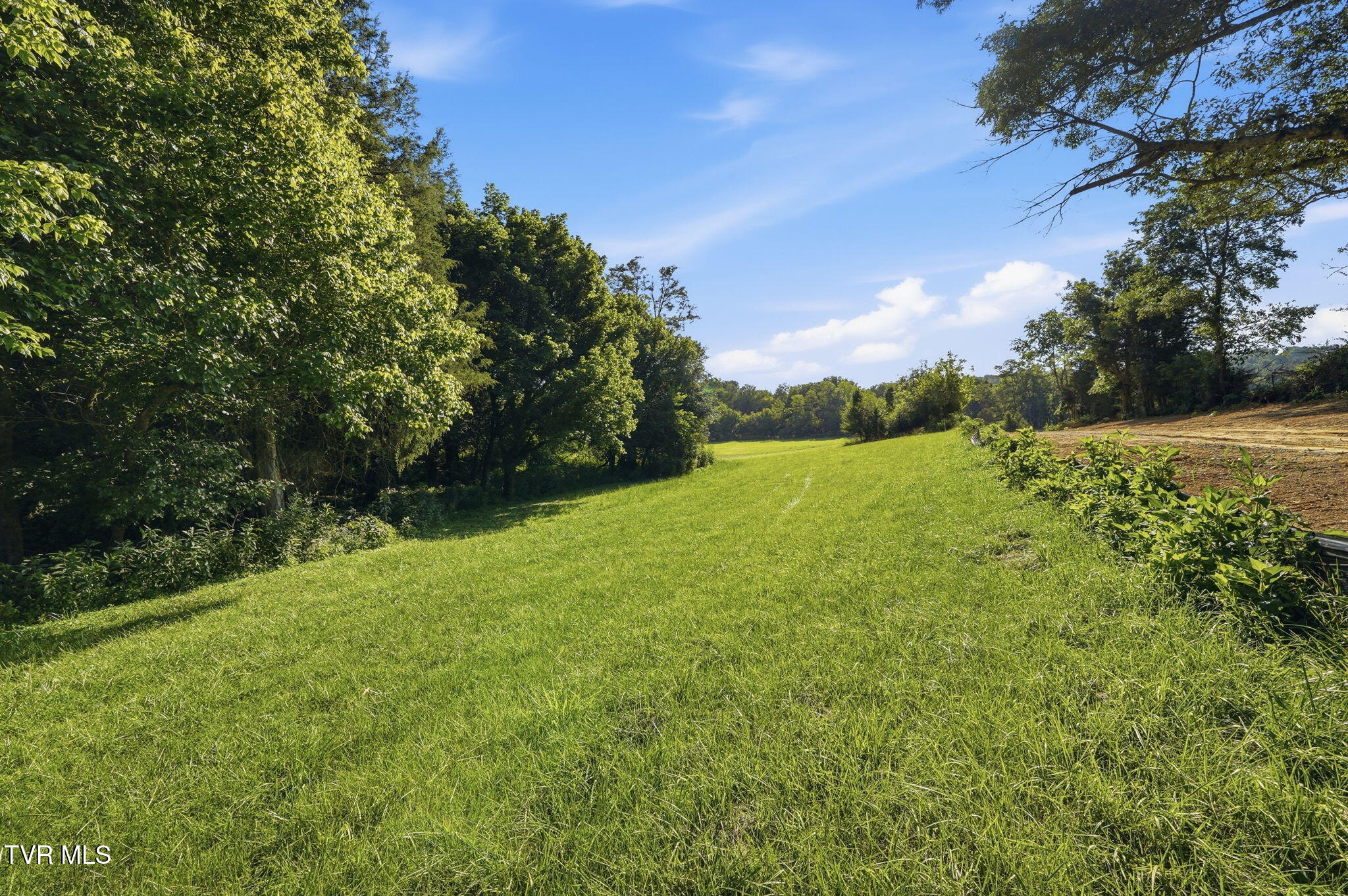141 Kitzmiller Road Gray, TN 37615 - Photo 92 of 100 111-web-or-mls-014_JH 20260702-276