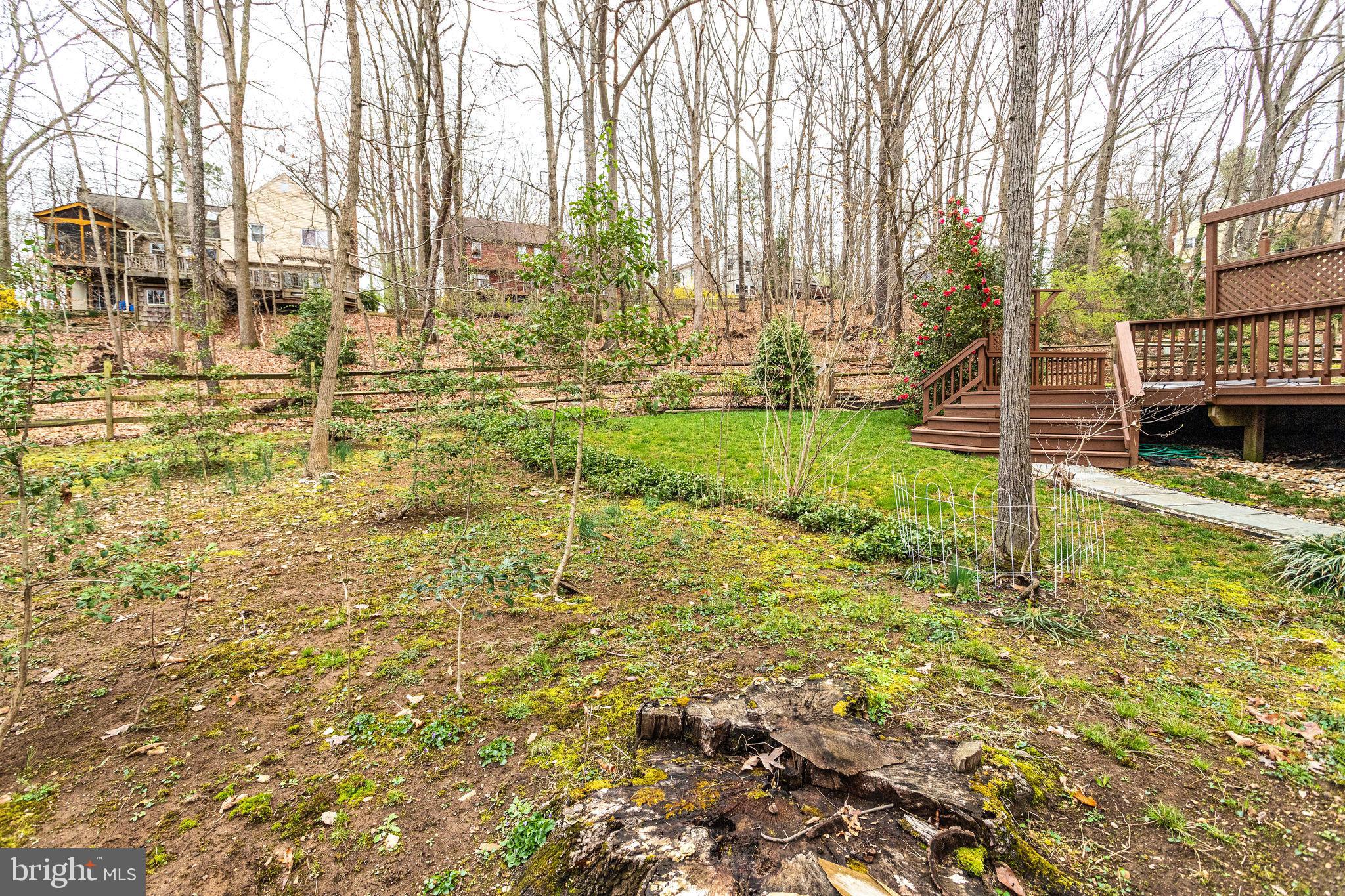 1832 Post Oak Trail Reston, VA 20191 - Photo 36 of 39 Nice wooded rear yard