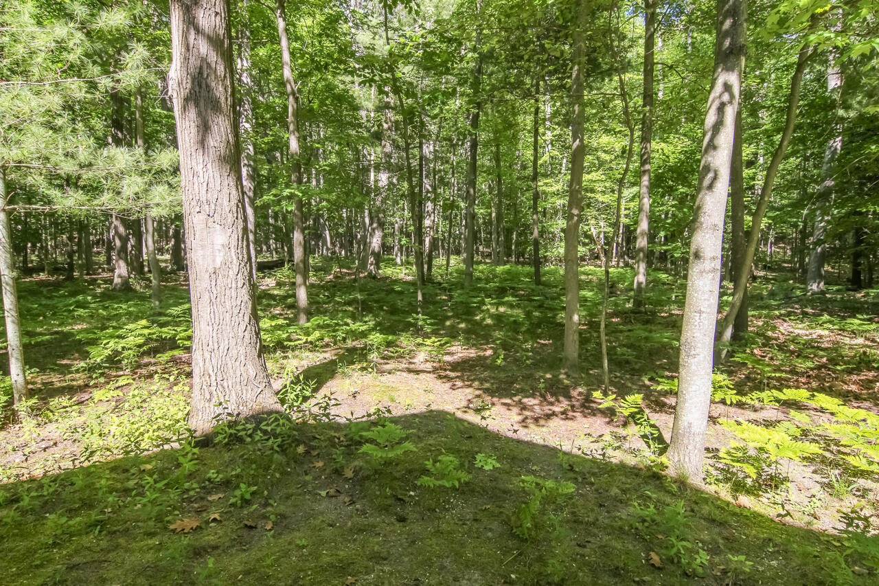 6756 Deadstream Road Honor, MI 49640 - Photo 52 of 58 41-Scene-46