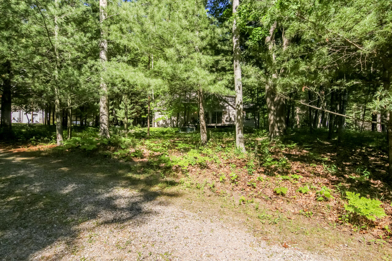 6756 Deadstream Road Honor, MI 49640 - Photo 53 of 58 43-Scene-48