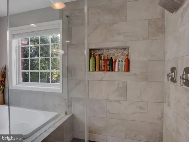 a view of a park with large trees