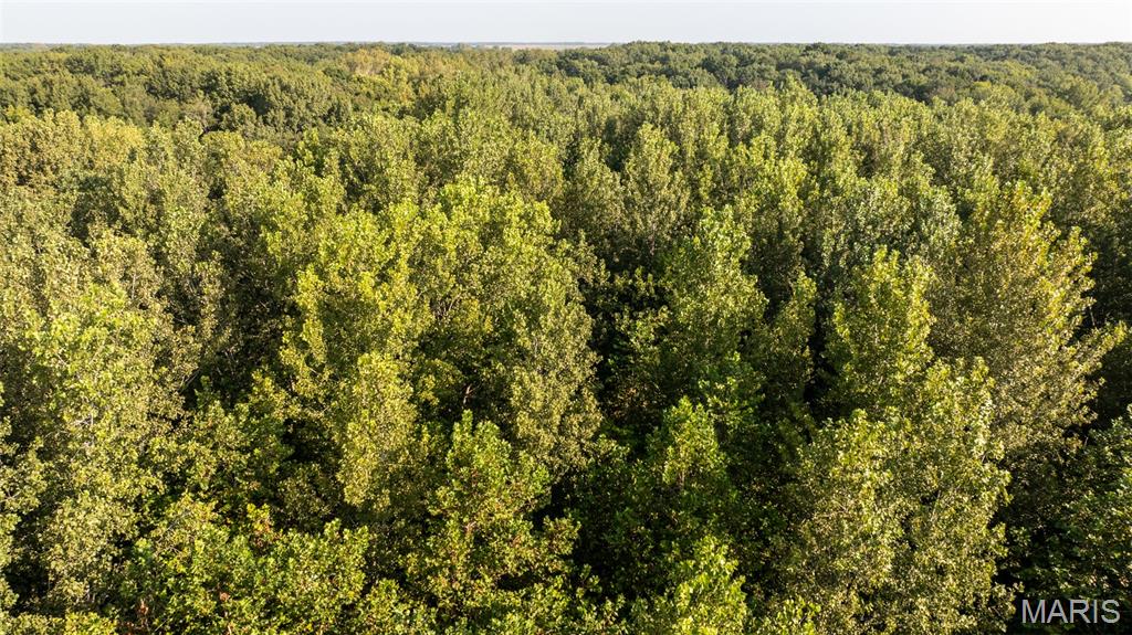0 Hagaman Road Greenfield, IL 62044 - Photo 7 of 21