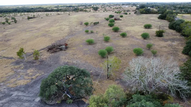 a view of outdoor space and tree